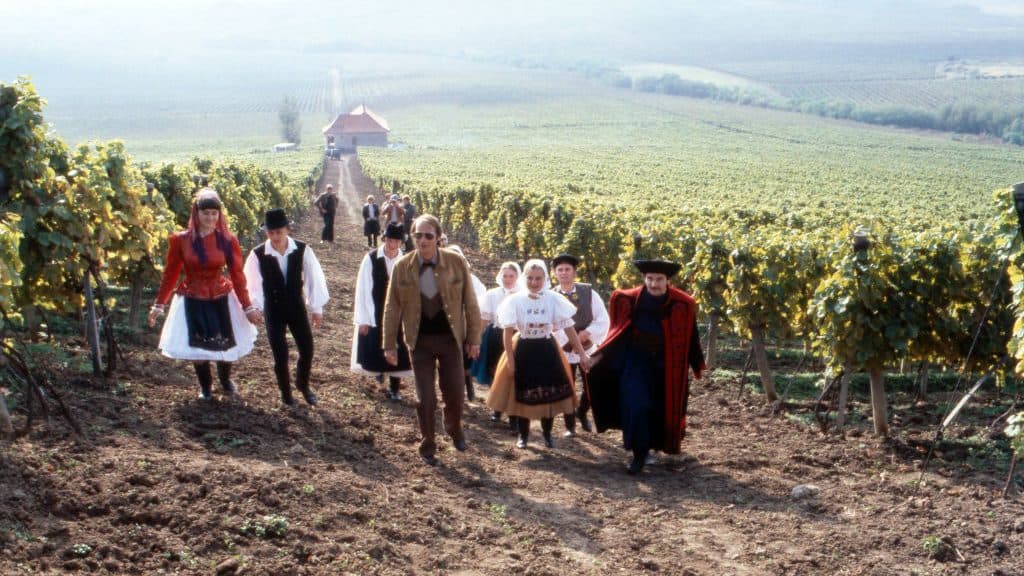 Magyarország borvidékei