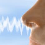 Sokak által kedvelt illatok