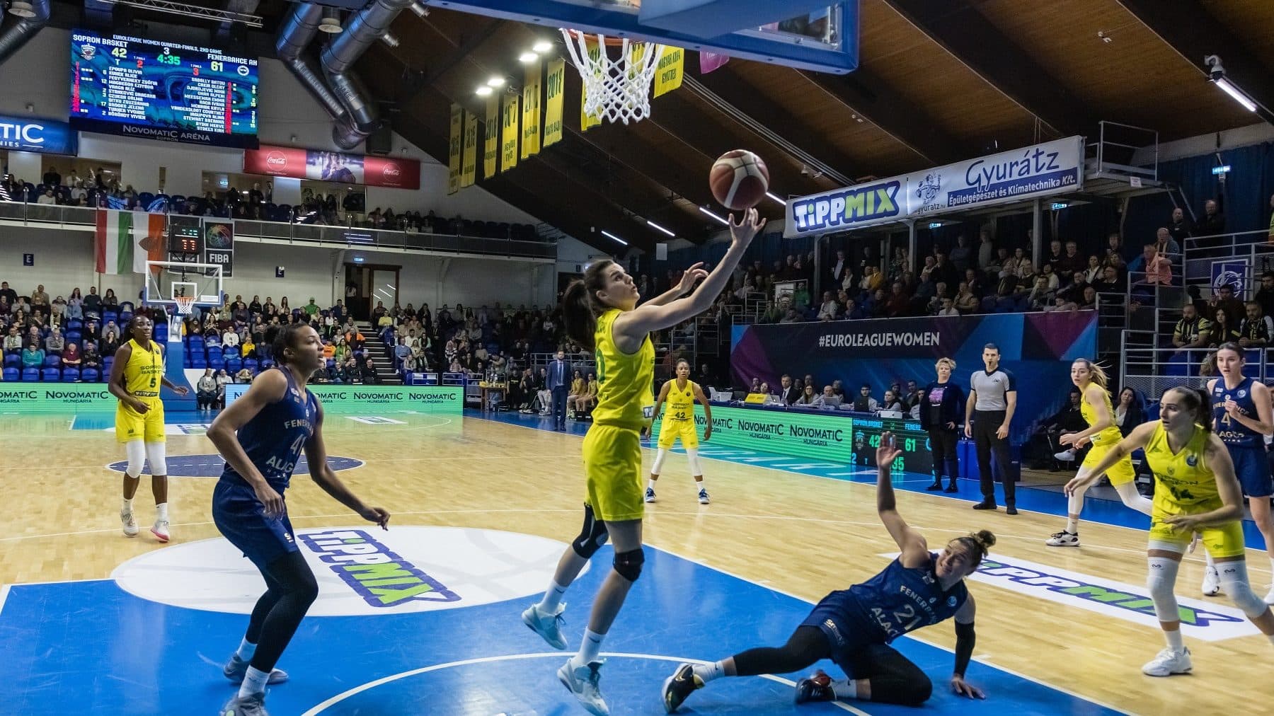 A legkedveltebb csapatsportok: te melyikért élsz-halsz?