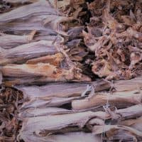 lutefisk or dried fish ready for market from the Lofoten Islands of Norway above the Arctic Circle