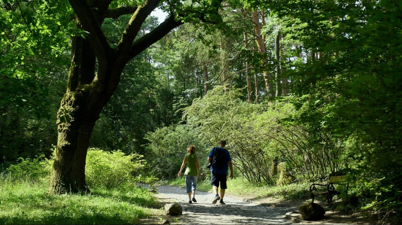 A legszebb arborétumok Budapest környékén