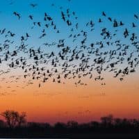 Tyler D. Rickenbach / Getty Images