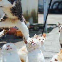 Here it is / Getty Images