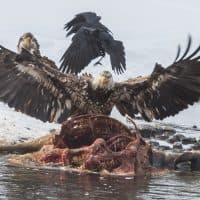 mtnmichelle / Getty Images