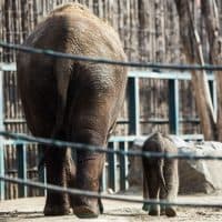 Kummer János / 24.hu