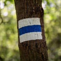 Ivándi Szabó Balázs / 24.hu