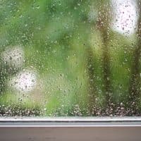Rain drops on window, with trees and leaves outside.