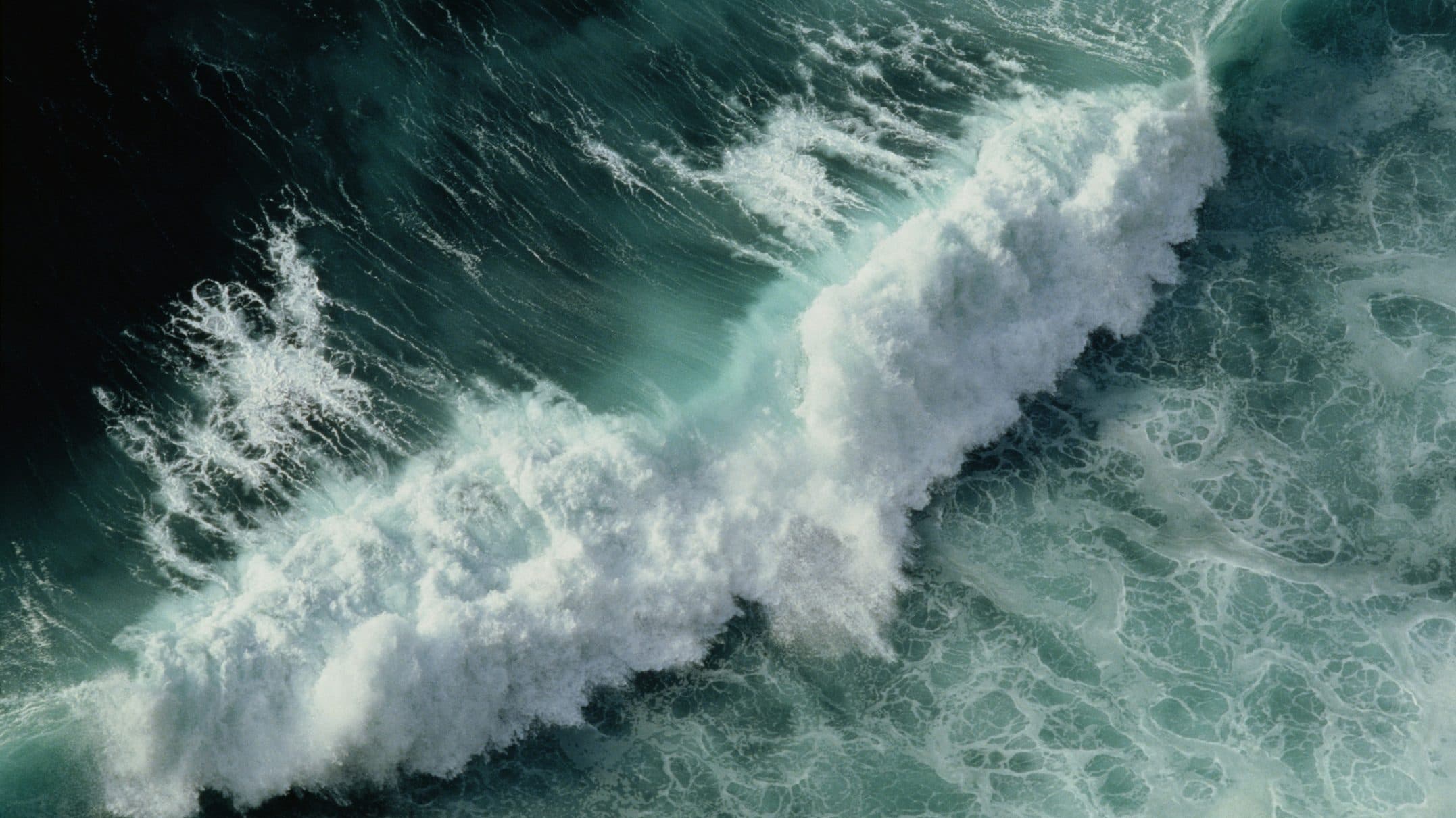 Tengermorajlás, dorombolás, pattogó tűz –  a legkellemesebb hangok az emberi fülnek