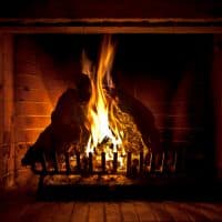 Fireplace, featuring two big logs on grate, burning hot, flames spawning between them.