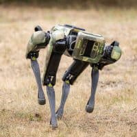 Mohssen Assanimoghaddam / picture alliance / Getty Images