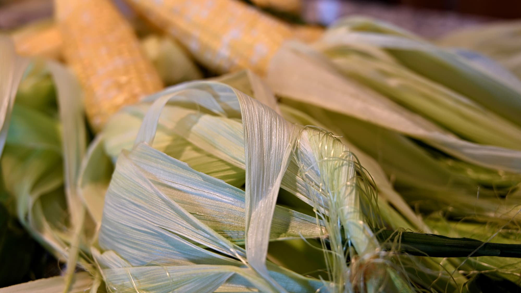 Libanyak, kukoricacsuhé, közös szivacs – a legfurcsább eszközök, amiket a vécépapír előtt használtak