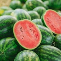 summer fruit. green watermelon