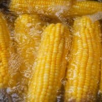 Yellow corn is boiling water in a pot