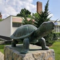 Vincze Miklós / 24.hu