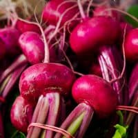 Red Beets root crop vegetable with green leafs.