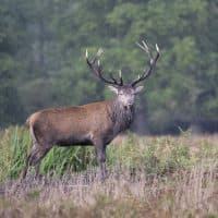 Rasid Necati Aslim / Anadolu Agency / AFP