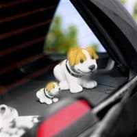 Peter Dazeley / Getty Images