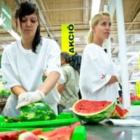 Neményi Márton / 24.hu