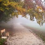 Spájzolás, óraátállítás, hulló falevelek – neked miről jut eszedbe azonnal az ősz?