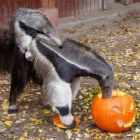 Vörös Szilárd / 24.hu