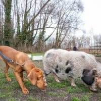 Varga Jennifer / 24.hu