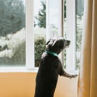 Catherine Falls Commercial / Getty Images