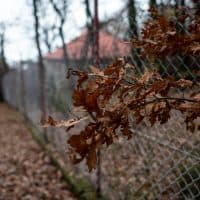 Ivándi Szabó Balázs / 24.hu