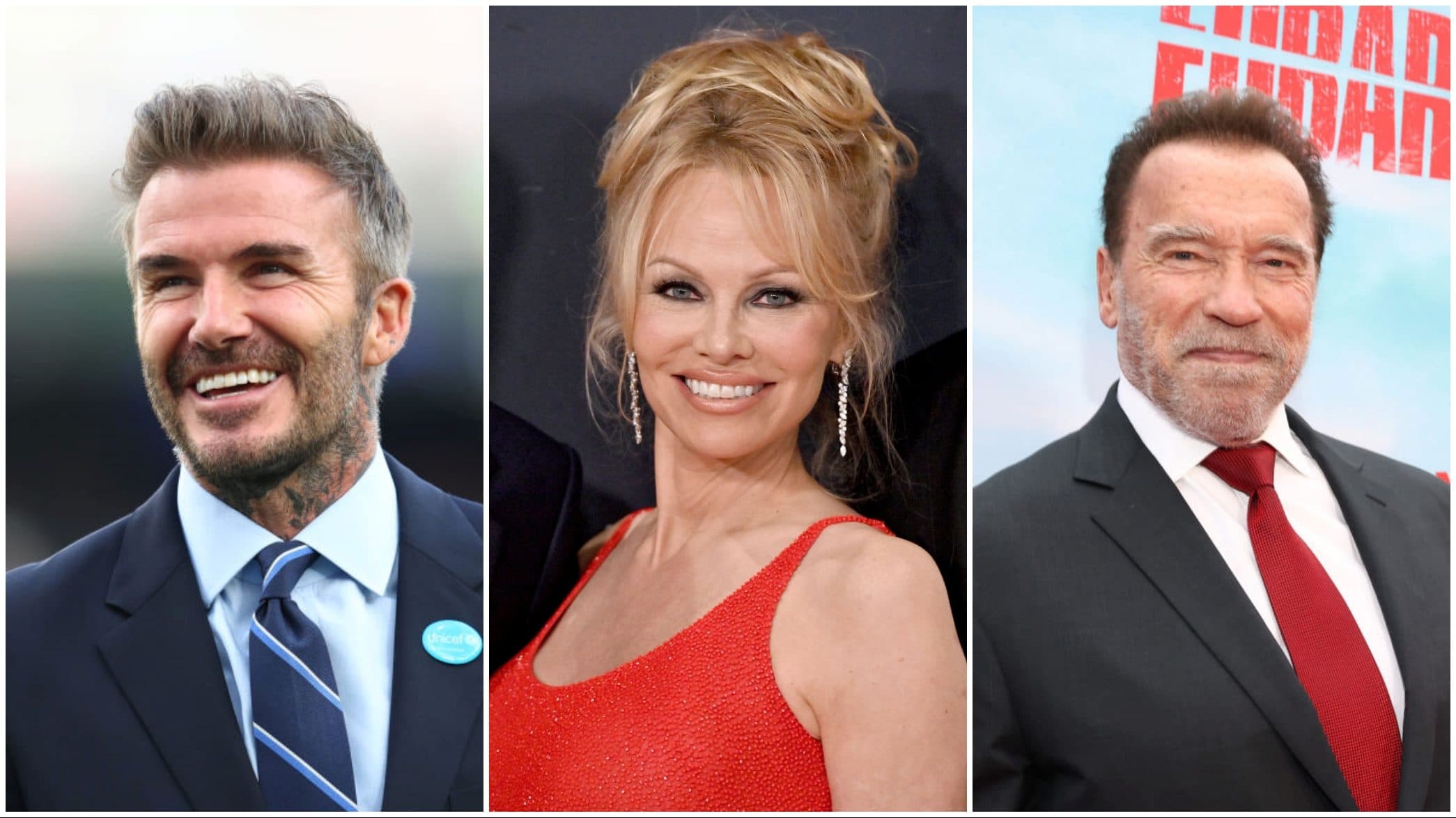 Beckham, Pamela, Arnold – dokumentumfilmek és -sorozatok sztárokról