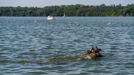 Hámori-tó, Deseda, Öreg-tó – a leggyönyörűbb magyar csónakázó tavak