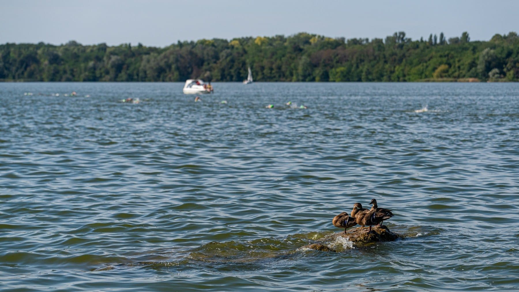 Hámori-tó, Deseda, Öreg-tó – a leggyönyörűbb magyar csónakázó tavak