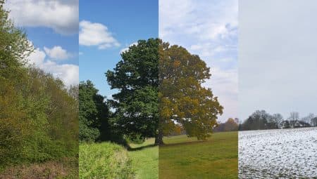 Januártól decemberig – még a hónapokat sem egyformán szeretjük