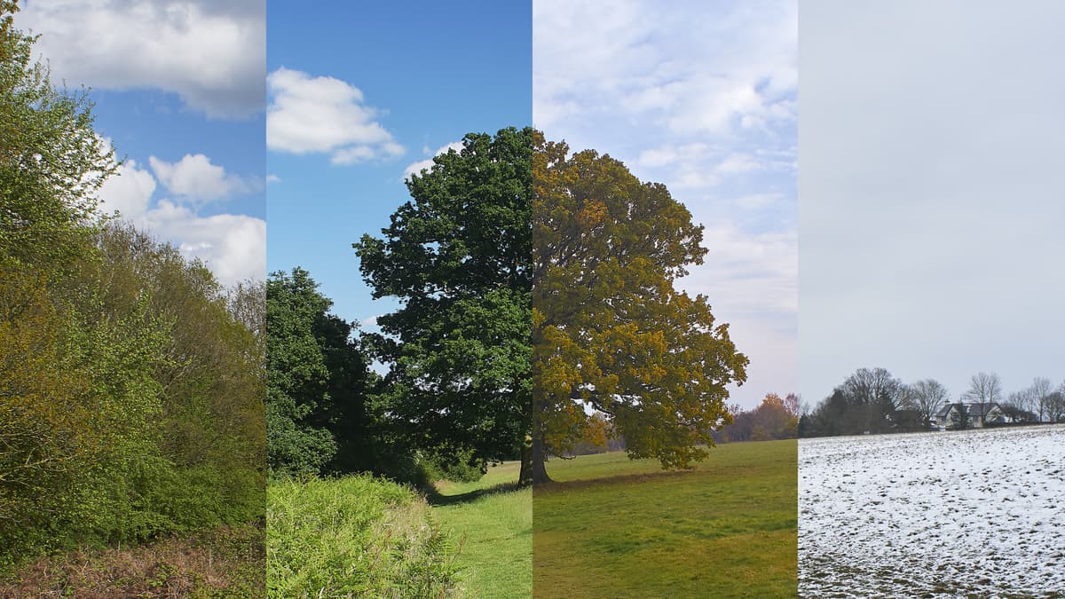 Januártól decemberig – még a hónapokat sem egyformán szeretjük