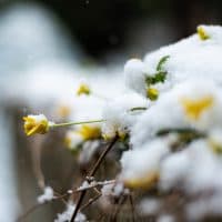 Farkas Norbert / 24.hu