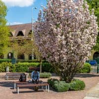 Farkas Norbert / 24.hu