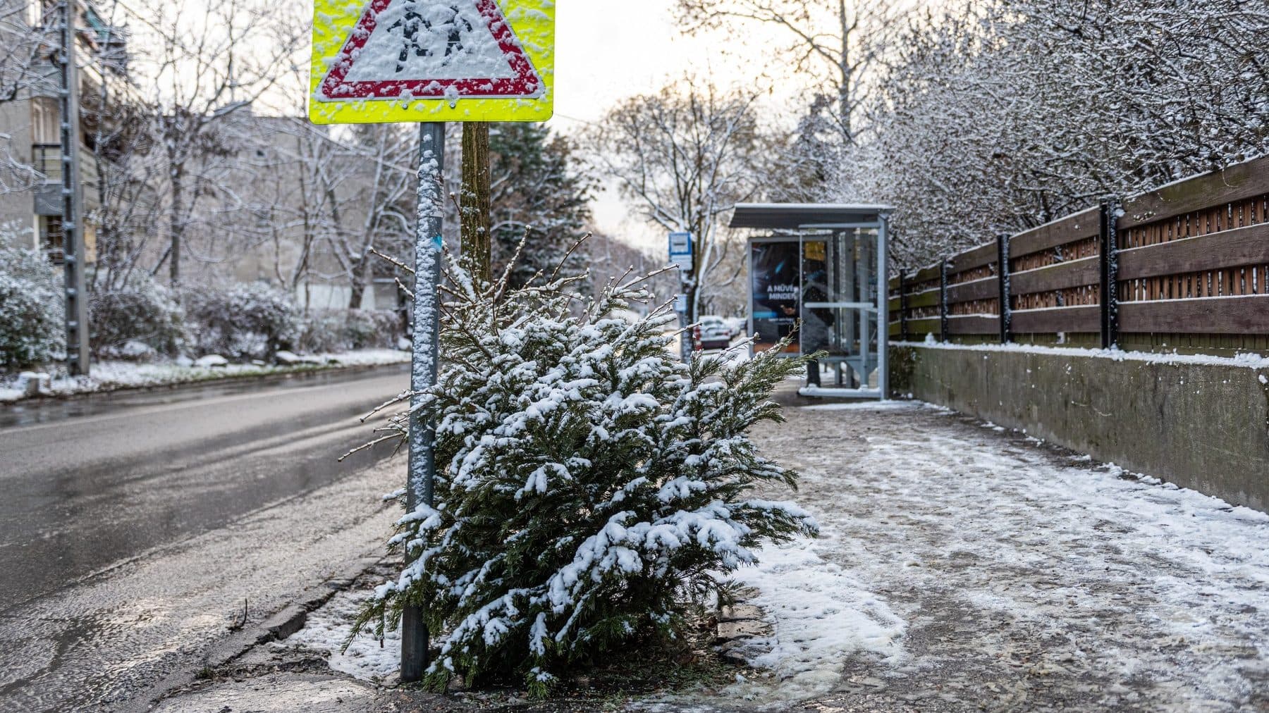 Unalmas, hideg, sötét – ezekért (is) utáljuk a januárt