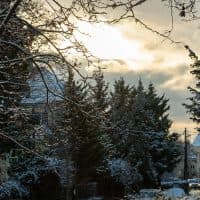 Farkas Norbert / 24.hu