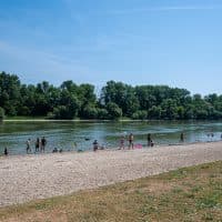 Farkas Norbert / 24.hu