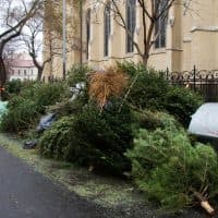 Horváth Júlia / 24.hu