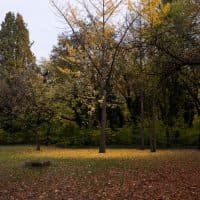 Nagy Borbála / 24.hu