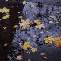 Nagy Borbála / 24.hu