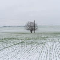 Szajki Bálint / 24.hu