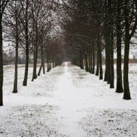 Szajki Bálint / 24.hu