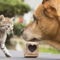 Fernando Trabanco Fotografía / Getty Images