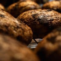 Szajki Bálint / 24.hu