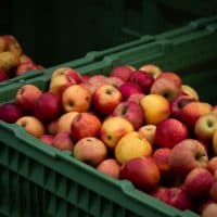 Nagy Borbála / 24.hu