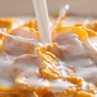 Aleksandr Zubkov / Getty Images
