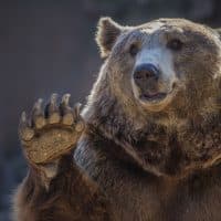 Murguia©photography / Getty Images