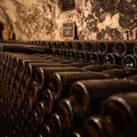 Szajki Bálint / 24.hu