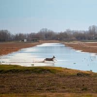 Farkas Norbert / 24.hu