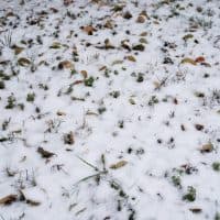 Szajki Bálint / 24.hu